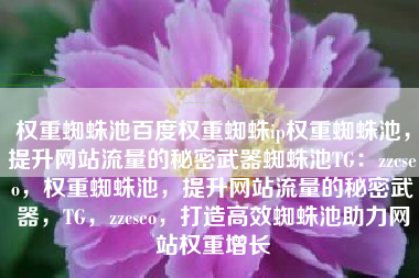 权重蜘蛛池百度权重蜘蛛ip权重蜘蛛池，提升网站流量的秘密武器蜘蛛池TG：zzcseo，权重蜘蛛池，提升网站流量的秘密武器，TG，zzcseo，打造高效蜘蛛池助力网站权重增长