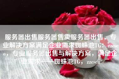 服务器出售服务器售卖服务器出售，专业解决方案满足企业需求蜘蛛池TG：zzcseo，专业服务器出售与解决方案，满足企业需求——蜘蛛池TG，zzcseo