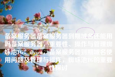 备案服务器备案服务器到期域名还能用吗备案服务器，重要性、操作与管理蜘蛛池TG：zzcseo，备案服务器到期域名使用问题及管理与操作，蜘蛛池TG的重要性探讨