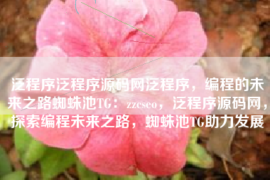 泛程序泛程序源码网泛程序，编程的未来之路蜘蛛池TG：zzcseo，泛程序源码网，探索编程未来之路，蜘蛛池TG助力发展