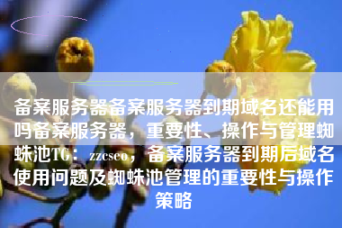 备案服务器备案服务器到期域名还能用吗备案服务器，重要性、操作与管理蜘蛛池TG：zzcseo，备案服务器到期后域名使用问题及蜘蛛池管理的重要性与操作策略