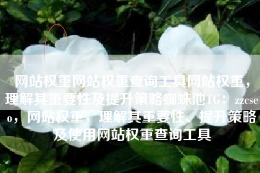 网站权重网站权重查询工具网站权重，理解其重要性及提升策略蜘蛛池TG：zzcseo，网站权重，理解其重要性、提升策略及使用网站权重查询工具