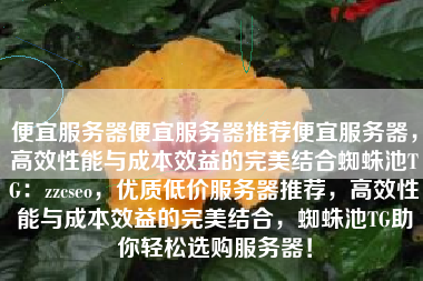 便宜服务器便宜服务器推荐便宜服务器，高效性能与成本效益的完美结合蜘蛛池TG：zzcseo，优质低价服务器推荐，高效性能与成本效益的完美结合，蜘蛛池TG助你轻松选购服务器！
