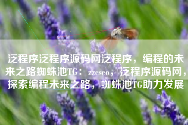 泛程序泛程序源码网泛程序，编程的未来之路蜘蛛池TG：zzcseo，泛程序源码网，探索编程未来之路，蜘蛛池TG助力发展