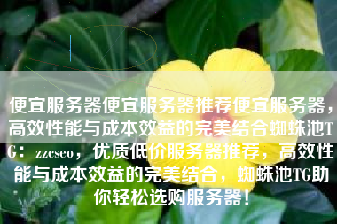 便宜服务器便宜服务器推荐便宜服务器，高效性能与成本效益的完美结合蜘蛛池TG：zzcseo，优质低价服务器推荐，高效性能与成本效益的完美结合，蜘蛛池TG助你轻松选购服务器！