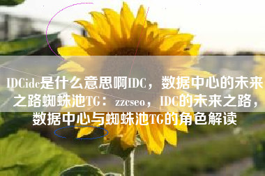 IDCidc是什么意思啊IDC，数据中心的未来之路蜘蛛池TG：zzcseo，IDC的未来之路，数据中心与蜘蛛池TG的角色解读