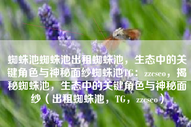 蜘蛛池蜘蛛池出租蜘蛛池，生态中的关键角色与神秘面纱蜘蛛池TG：zzcseo，揭秘蜘蛛池，生态中的关键角色与神秘面纱（出租蜘蛛池，TG，zzcseo）