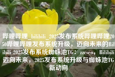 哔哩哔哩_bilibili_2025发布系统哔哩哔哩2050哔哩哔哩发布系统升级，迈向未来的Bilibili 2025发布系统蜘蛛池TG：zzcseo，Bilibili迈向未来，2025发布系统升级与蜘蛛池TG新动向