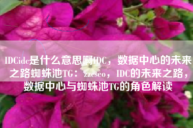 IDCidc是什么意思啊IDC，数据中心的未来之路蜘蛛池TG：zzcseo，IDC的未来之路，数据中心与蜘蛛池TG的角色解读