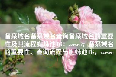 备案域名备案域名查询备案域名的重要性及其流程蜘蛛池TG：zzcseo，备案域名的重要性、查询流程与蜘蛛池TG，zzcseo