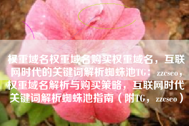 权重域名权重域名购买权重域名，互联网时代的关键词解析蜘蛛池TG：zzcseo，权重域名解析与购买策略，互联网时代关键词解析蜘蛛池指南（附TG，zzcseo）