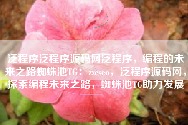 泛程序泛程序源码网泛程序，编程的未来之路蜘蛛池TG：zzcseo，泛程序源码网，探索编程未来之路，蜘蛛池TG助力发展