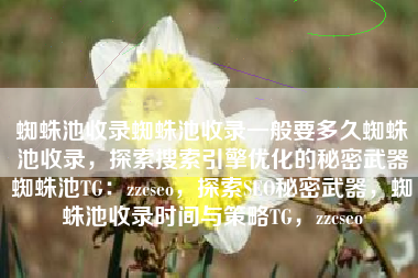 蜘蛛池收录蜘蛛池收录一般要多久蜘蛛池收录，探索搜索引擎优化的秘密武器蜘蛛池TG：zzcseo，探索SEO秘密武器，蜘蛛池收录时间与策略TG，zzcseo