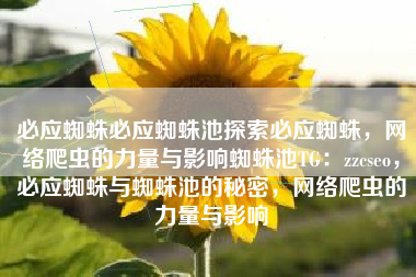 必应蜘蛛必应蜘蛛池探索必应蜘蛛，网络爬虫的力量与影响蜘蛛池TG：zzcseo，必应蜘蛛与蜘蛛池的秘密，网络爬虫的力量与影响