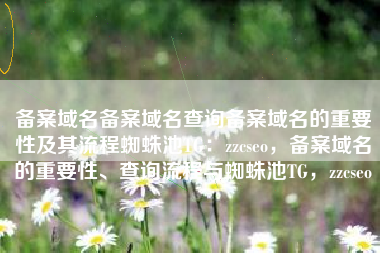 备案域名备案域名查询备案域名的重要性及其流程蜘蛛池TG：zzcseo，备案域名的重要性、查询流程与蜘蛛池TG，zzcseo