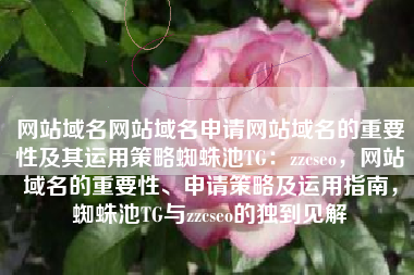 网站域名网站域名申请网站域名的重要性及其运用策略蜘蛛池TG：zzcseo，网站域名的重要性、申请策略及运用指南，蜘蛛池TG与zzcseo的独到见解