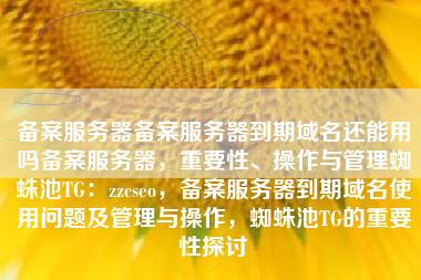 备案服务器备案服务器到期域名还能用吗备案服务器，重要性、操作与管理蜘蛛池TG：zzcseo，备案服务器到期域名使用问题及管理与操作，蜘蛛池TG的重要性探讨