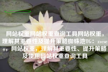 网站权重网站权重查询工具网站权重，理解其重要性及提升策略蜘蛛池TG：zzcseo，网站权重，理解其重要性、提升策略及使用网站权重查询工具