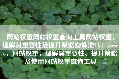 网站权重网站权重查询工具网站权重，理解其重要性及提升策略蜘蛛池TG：zzcseo，网站权重，理解其重要性、提升策略及使用网站权重查询工具