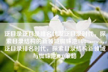 泛目录泛目录排名代发泛目录时代，探索目录结构的新领域蜘蛛池TG：zzcseo，泛目录排名时代，探索目录结构新领域与蜘蛛池SEO策略