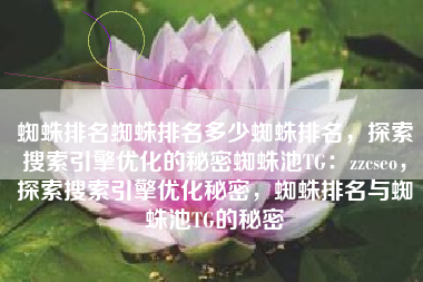 蜘蛛排名蜘蛛排名多少蜘蛛排名，探索搜索引擎优化的秘密蜘蛛池TG：zzcseo，探索搜索引擎优化秘密，蜘蛛排名与蜘蛛池TG的秘密