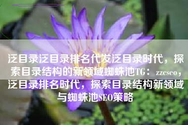 泛目录泛目录排名代发泛目录时代，探索目录结构的新领域蜘蛛池TG：zzcseo，泛目录排名时代，探索目录结构新领域与蜘蛛池SEO策略