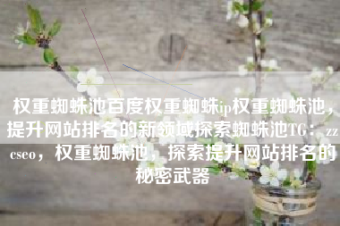权重蜘蛛池百度权重蜘蛛ip权重蜘蛛池，提升网站排名的新领域探索蜘蛛池TG：zzcseo，权重蜘蛛池，探索提升网站排名的秘密武器