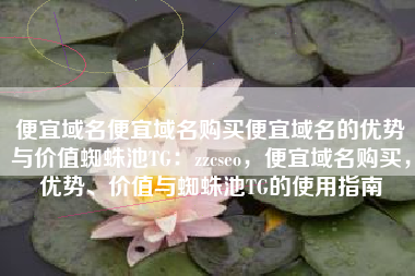 便宜域名便宜域名购买便宜域名的优势与价值蜘蛛池TG：zzcseo，便宜域名购买，优势、价值与蜘蛛池TG的使用指南