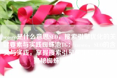 seoseo是什么意思SEO，搜索引擎优化的关键要素与实践蜘蛛池TG：zzcseo，SEO的含义与实践，掌握搜索引擎优化核心要素，揭秘蜘蛛池的秘密