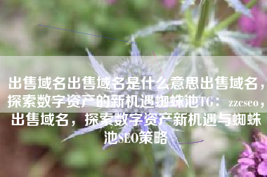 出售域名出售域名是什么意思出售域名，探索数字资产的新机遇蜘蛛池TG：zzcseo，出售域名，探索数字资产新机遇与蜘蛛池SEO策略