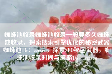 蜘蛛池收录蜘蛛池收录一般要多久蜘蛛池收录，探索搜索引擎优化的秘密武器蜘蛛池TG：zzcseo，探索SEO秘密武器，蜘蛛池收录时间与策略TG，zzcseo