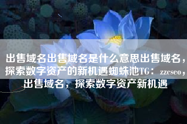 出售域名出售域名是什么意思出售域名，探索数字资产的新机遇蜘蛛池TG：zzcseo，出售域名，探索数字资产新机遇