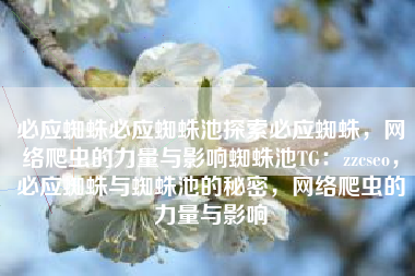 必应蜘蛛必应蜘蛛池探索必应蜘蛛，网络爬虫的力量与影响蜘蛛池TG：zzcseo，必应蜘蛛与蜘蛛池的秘密，网络爬虫的力量与影响