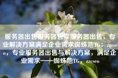 服务器出售服务器售卖服务器出售，专业解决方案满足企业需求蜘蛛池TG：zzcseo，专业服务器出售与解决方案，满足企业需求——蜘蛛池TG，zzcseo
