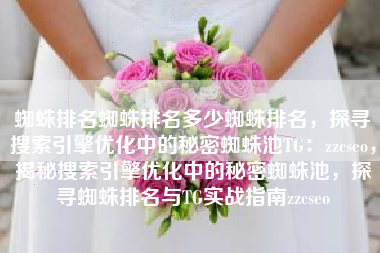 蜘蛛排名蜘蛛排名多少蜘蛛排名，探寻搜索引擎优化中的秘密蜘蛛池TG：zzcseo，揭秘搜索引擎优化中的秘密蜘蛛池，探寻蜘蛛排名与TG实战指南zzcseo