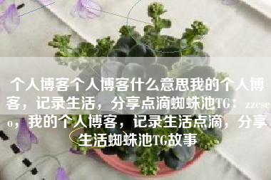 个人博客个人博客什么意思我的个人博客，记录生活，分享点滴蜘蛛池TG：zzcseo，我的个人博客，记录生活点滴，分享生活蜘蛛池TG故事