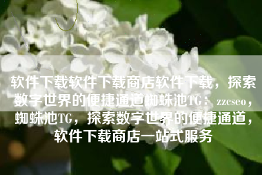 软件下载软件下载商店软件下载，探索数字世界的便捷通道蜘蛛池TG：zzcseo，蜘蛛池TG，探索数字世界的便捷通道，软件下载商店一站式服务