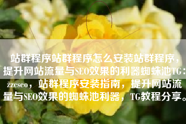站群程序站群程序怎么安装站群程序，提升网站流量与SEO效果的利器蜘蛛池TG：zzcseo，站群程序安装指南，提升网站流量与SEO效果的蜘蛛池利器，TG教程分享。