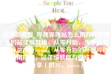 站详细教程_哔哩哔哩站怎么用哔哩哔哩上的站详细教程，从零开始，步步为营蜘蛛池TG：zzcseo，从零开始的哔哩哔哩站使用指南，站详细教程与蜘蛛池技巧分享（附TG，zzcseo）