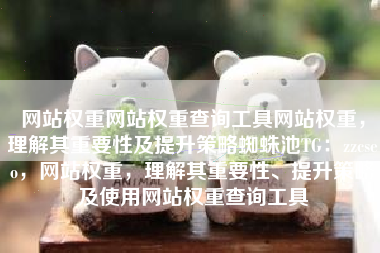 网站权重网站权重查询工具网站权重，理解其重要性及提升策略蜘蛛池TG：zzcseo，网站权重，理解其重要性、提升策略及使用网站权重查询工具