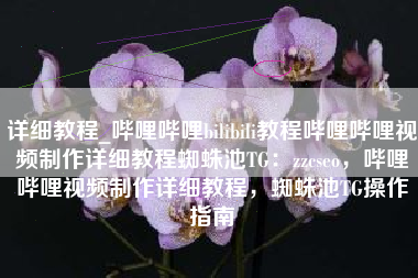 详细教程_哔哩哔哩bilibili教程哔哩哔哩视频制作详细教程蜘蛛池TG：zzcseo，哔哩哔哩视频制作详细教程，蜘蛛池TG操作指南