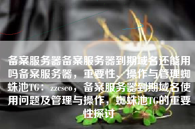 备案服务器备案服务器到期域名还能用吗备案服务器，重要性、操作与管理蜘蛛池TG：zzcseo，备案服务器到期域名使用问题及管理与操作，蜘蛛池TG的重要性探讨