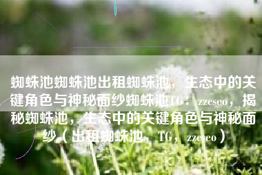 蜘蛛池蜘蛛池出租蜘蛛池，生态中的关键角色与神秘面纱蜘蛛池TG：zzcseo，揭秘蜘蛛池，生态中的关键角色与神秘面纱（出租蜘蛛池，TG，zzcseo）