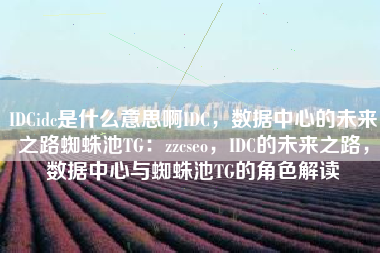IDCidc是什么意思啊IDC，数据中心的未来之路蜘蛛池TG：zzcseo，IDC的未来之路，数据中心与蜘蛛池TG的角色解读