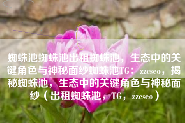 蜘蛛池蜘蛛池出租蜘蛛池，生态中的关键角色与神秘面纱蜘蛛池TG：zzcseo，揭秘蜘蛛池，生态中的关键角色与神秘面纱（出租蜘蛛池，TG，zzcseo）