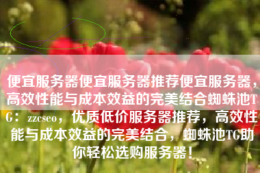 便宜服务器便宜服务器推荐便宜服务器，高效性能与成本效益的完美结合蜘蛛池TG：zzcseo，优质低价服务器推荐，高效性能与成本效益的完美结合，蜘蛛池TG助你轻松选购服务器！