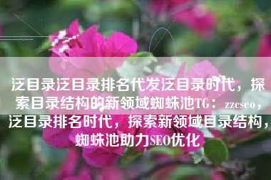 泛目录泛目录排名代发泛目录时代，探索目录结构的新领域蜘蛛池TG：zzcseo，泛目录排名时代，探索新领域目录结构，蜘蛛池助力SEO优化