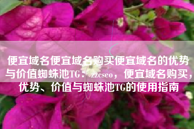 便宜域名便宜域名购买便宜域名的优势与价值蜘蛛池TG：zzcseo，便宜域名购买，优势、价值与蜘蛛池TG的使用指南
