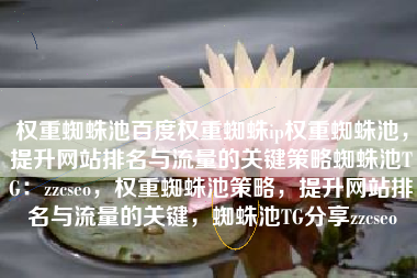 权重蜘蛛池百度权重蜘蛛ip权重蜘蛛池，提升网站排名与流量的关键策略蜘蛛池TG：zzcseo，权重蜘蛛池策略，提升网站排名与流量的关键，蜘蛛池TG分享zzcseo