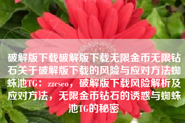 破解版下载破解版下载无限金币无限钻石关于破解版下载的风险与应对方法蜘蛛池TG：zzcseo，破解版下载风险解析及应对方法，无限金币钻石的诱惑与蜘蛛池TG的秘密